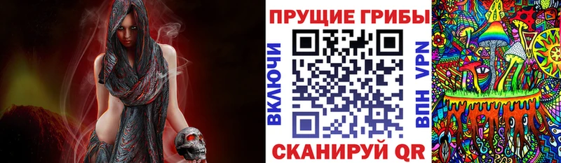 дарнет шоп  Карабаш  kraken tor  Псилоцибиновые грибы Psilocybine cubensis 